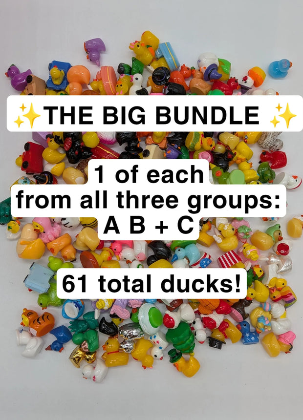 The Big Bundle! 1 of Each Duck - All Groups: A, B, C.