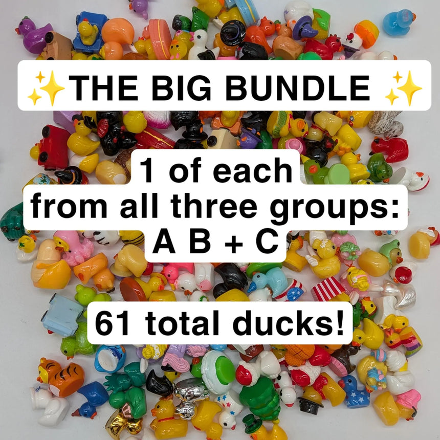 The Big Bundle! 1 of Each Duck - All Groups: A, B, C.