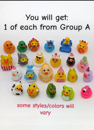 The Big Bundle! 1 of Each Duck - All Groups: A, B, C.