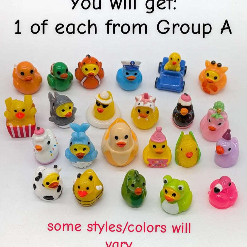The Big Bundle! 1 of Each Duck - All Groups: A, B, C.