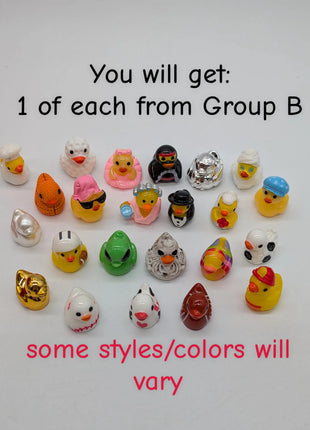 The Big Bundle! 1 of Each Duck - All Groups: A, B, C.
