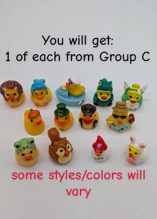 The Big Bundle! 1 of Each Duck - All Groups: A, B, C.