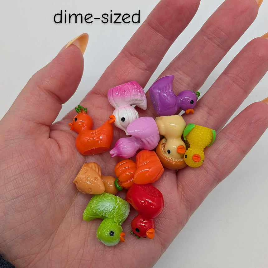 10 pc Mini Veggie Squad Ducks